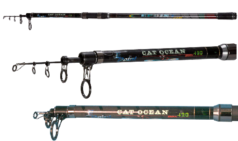 Cay Ocean